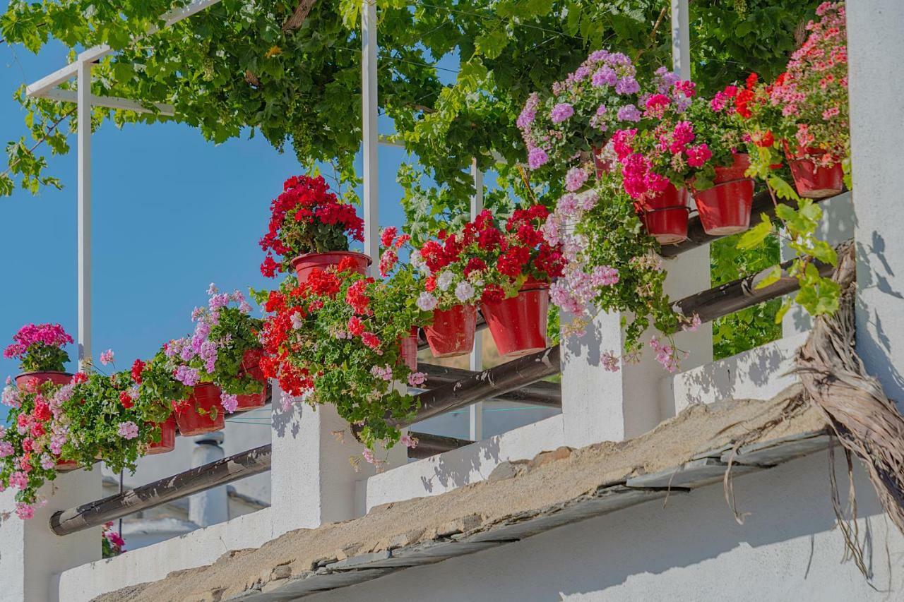 Apartamentos Rurales Las Chimeneas Capileira Eksteriør billede