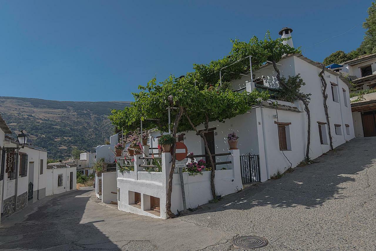 Apartamentos Rurales Las Chimeneas Capileira Eksteriør billede
